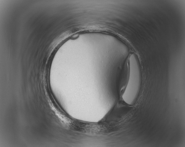 X0000085070991200703261227