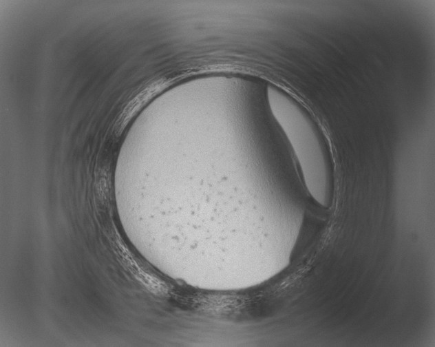 X0000085070993200703261227