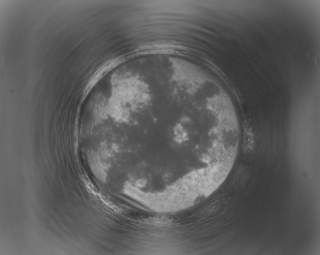 X0000085070994200703261227