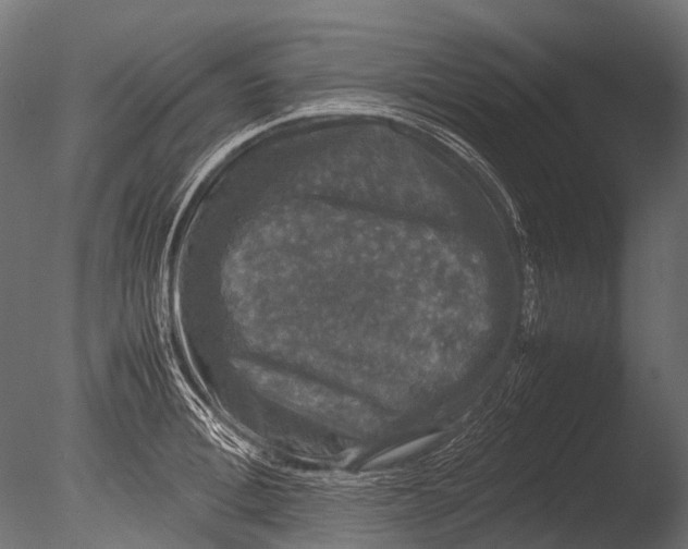 X0000085070996200703261226