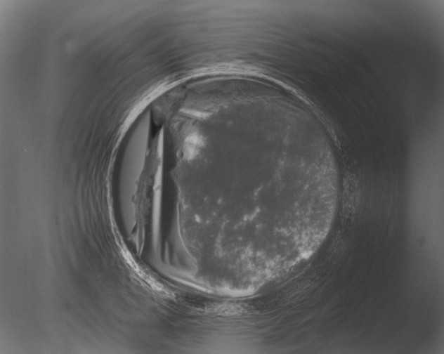 X0000085070998200703261226