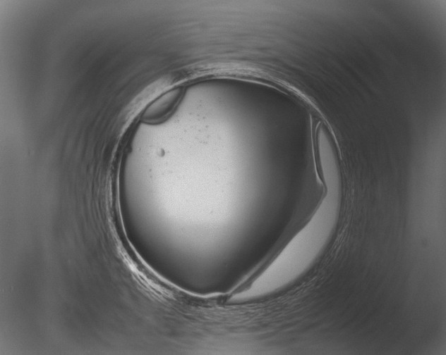 X0000085070999200703261226