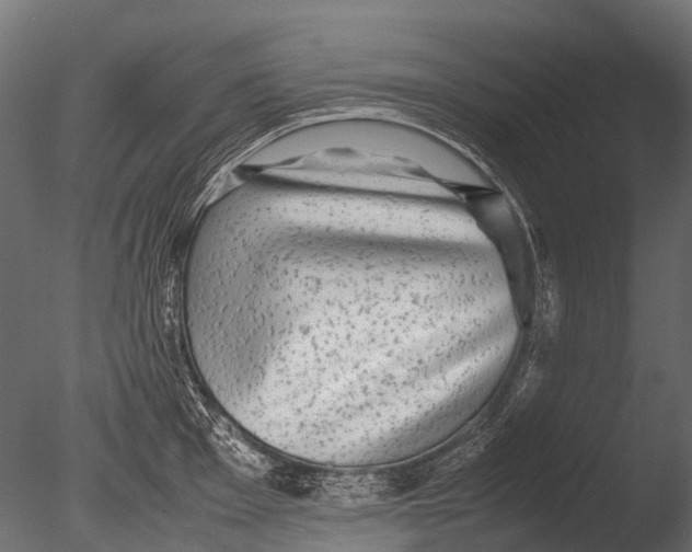 X0000085071001200703261226