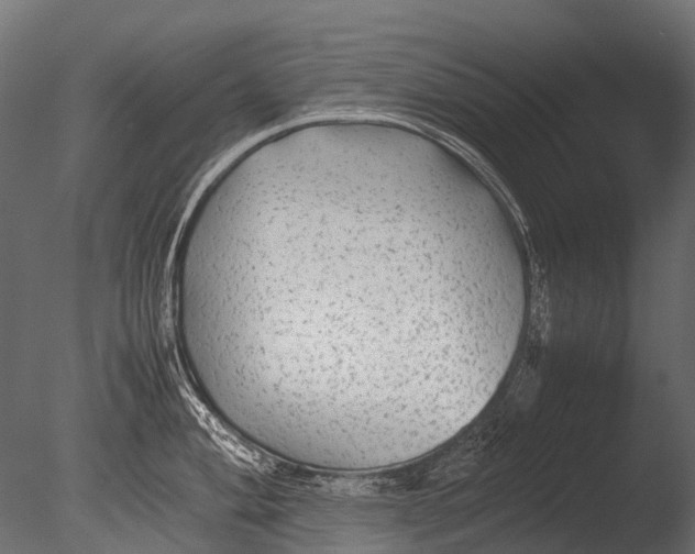 X0000085071004200703261226