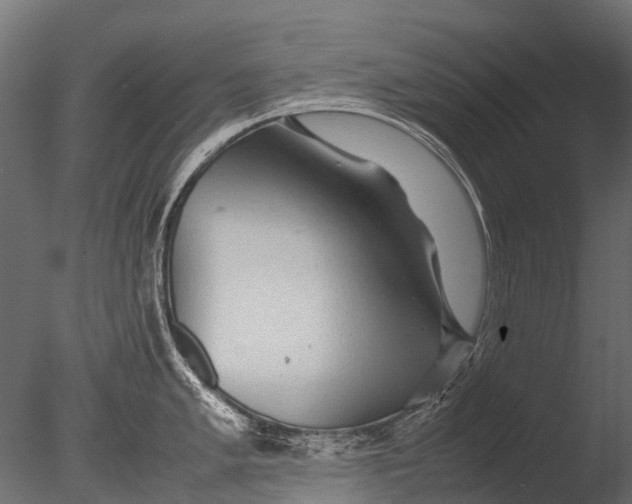 X0000085071005200703261226