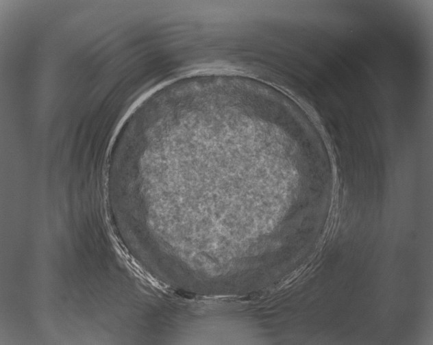 X0000085071008200703261226