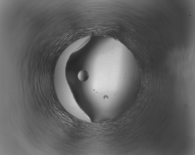 X0000085071010200703261225