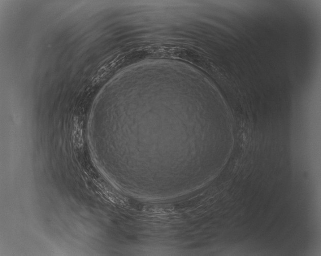 X0000085071013200703261226