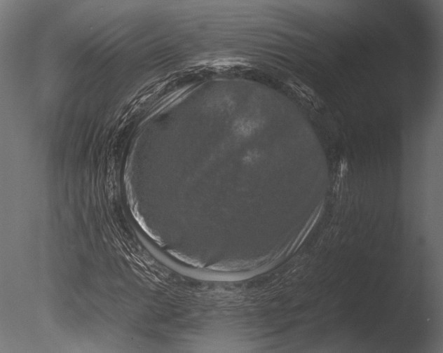 X0000085071014200703261226