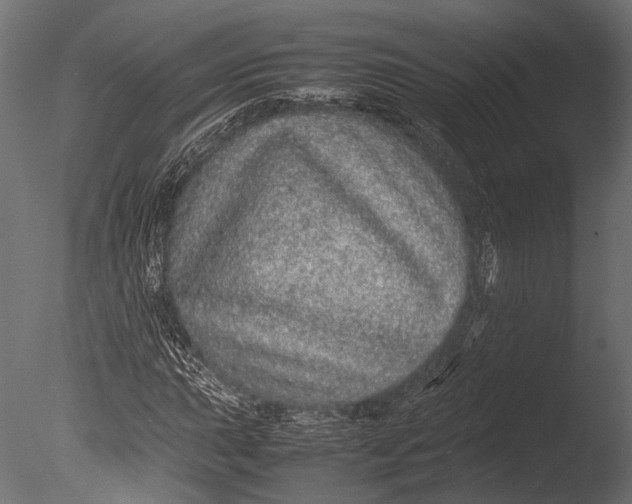 X0000085071015200703261226