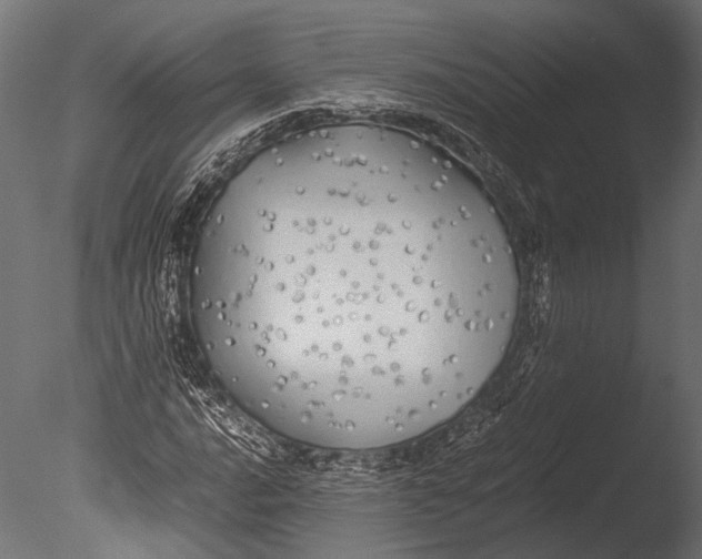 X0000085071016200703261226