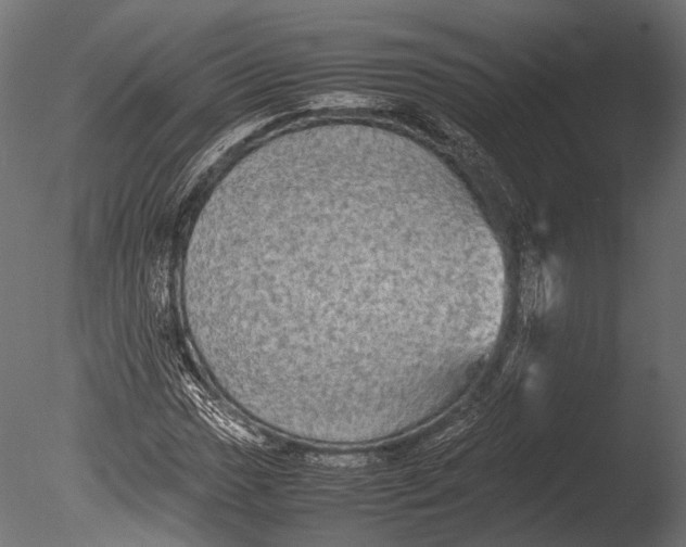 X0000085071017200703261226