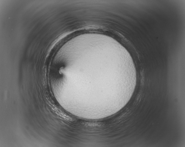 X0000085071021200703261226