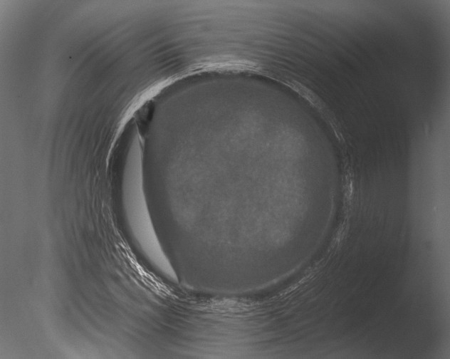 X0000085071022200703261226