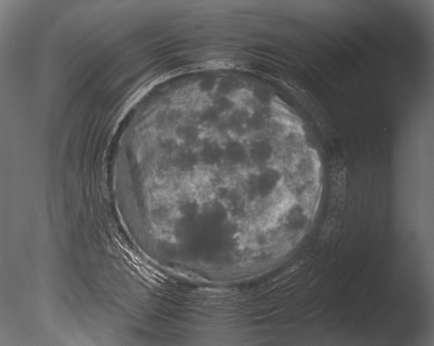 X0000085071023200703261226