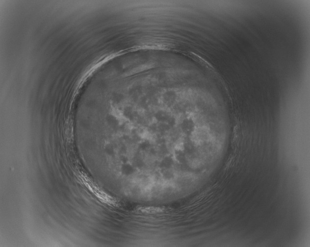 X0000085071027200703261226