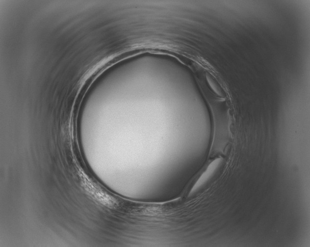 X0000085071028200703261226