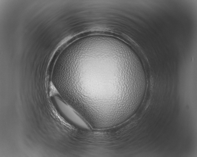 X0000085071029200703261226