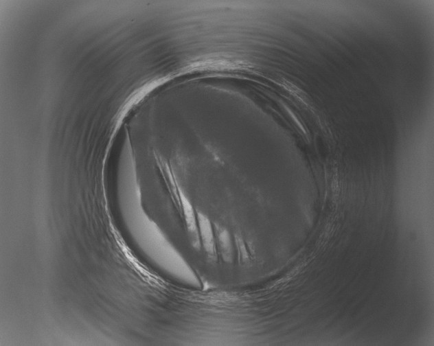 X0000085071030200703261226