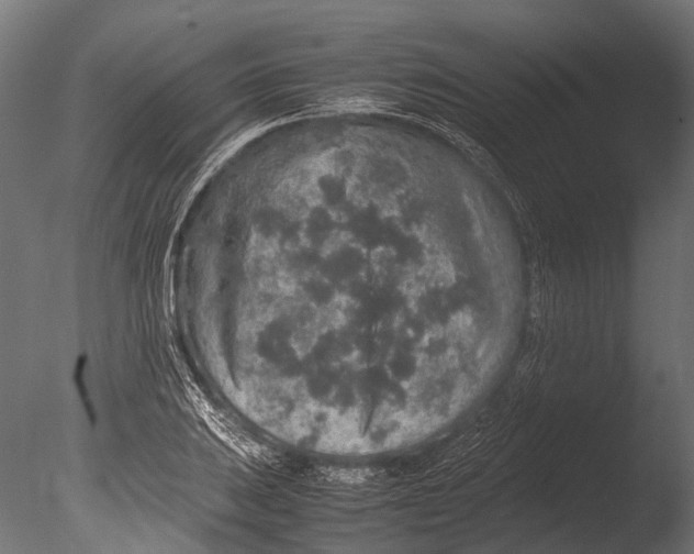 X0000085071031200703261226