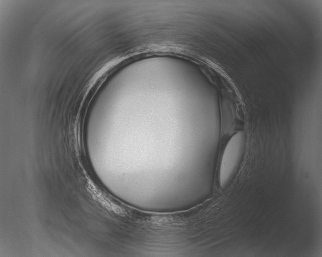 X0000085071032200703261226