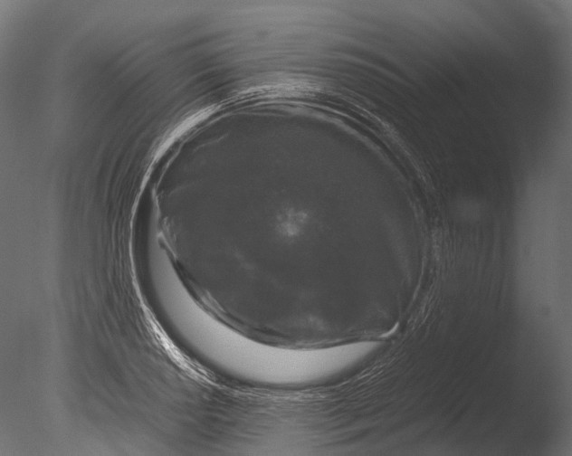 X0000085071034200703261226