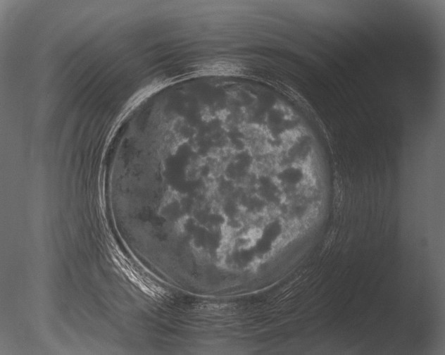 X0000085071035200703261226