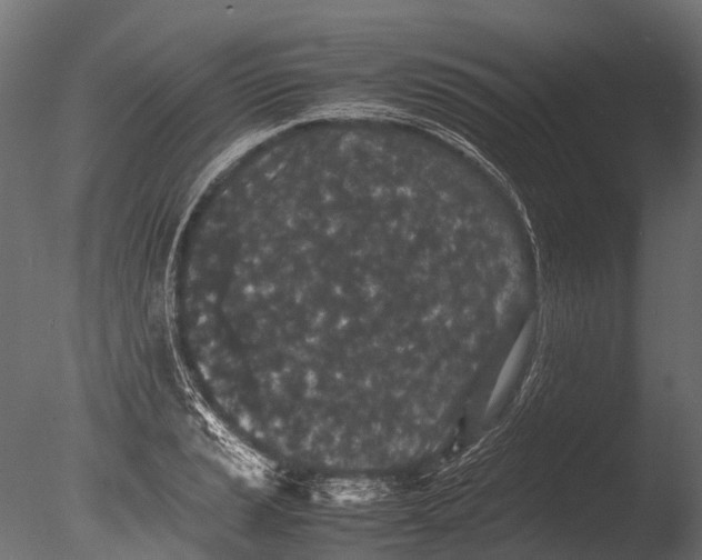 X0000085071037200703261226