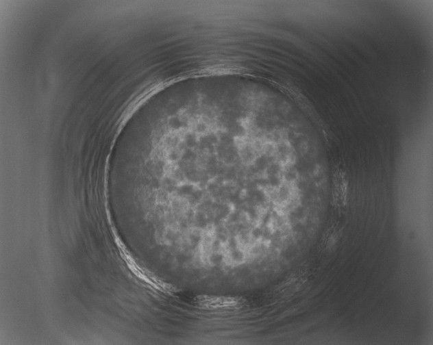 X0000085071039200703261226