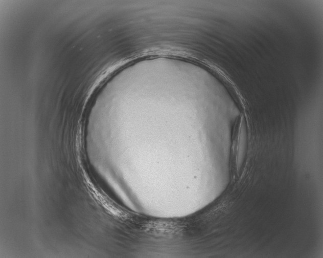 X0000085071040200703261226