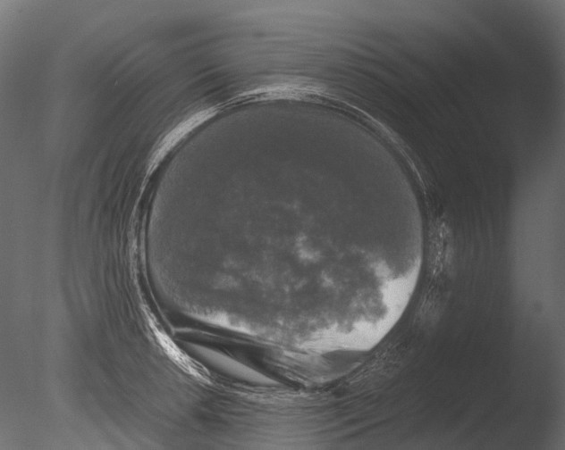 X0000085071042200703261226