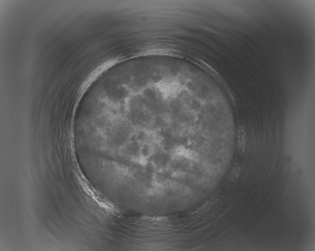 X0000085071043200703261226