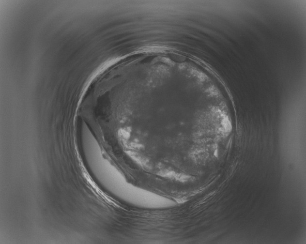 X0000085071045200703261226