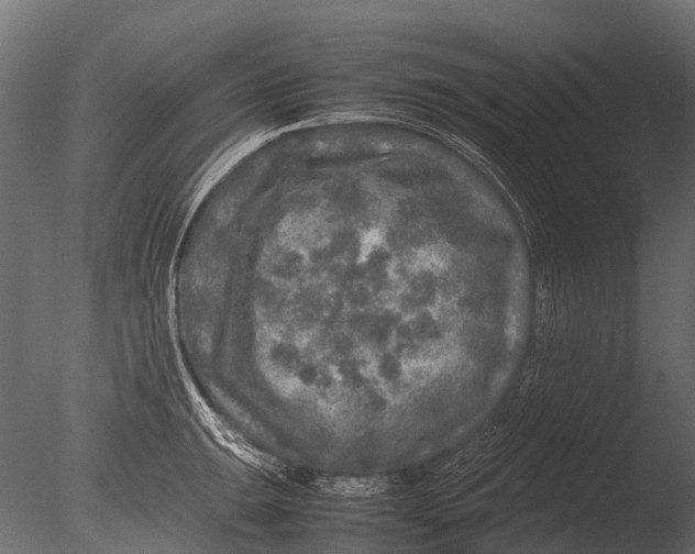 X0000085071047200703261226