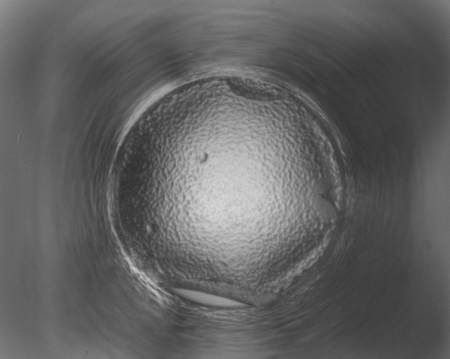 X0000085071048200703261226