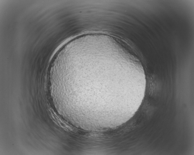 X0000085071052200703261226