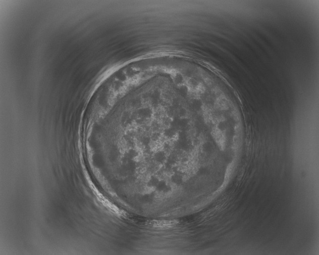 X0000085071055200703261226