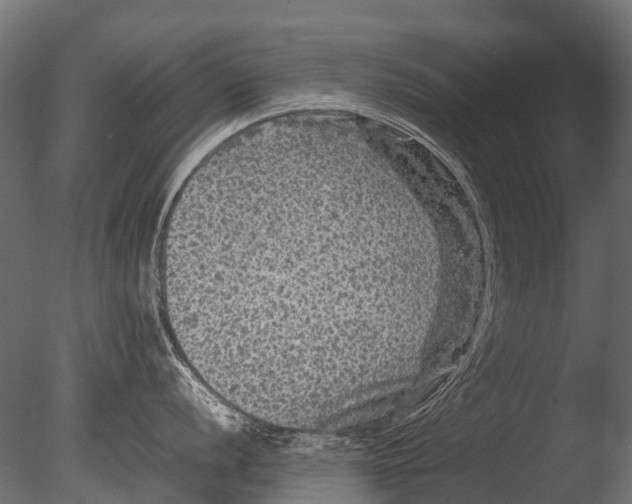 X0000085071056200703261226