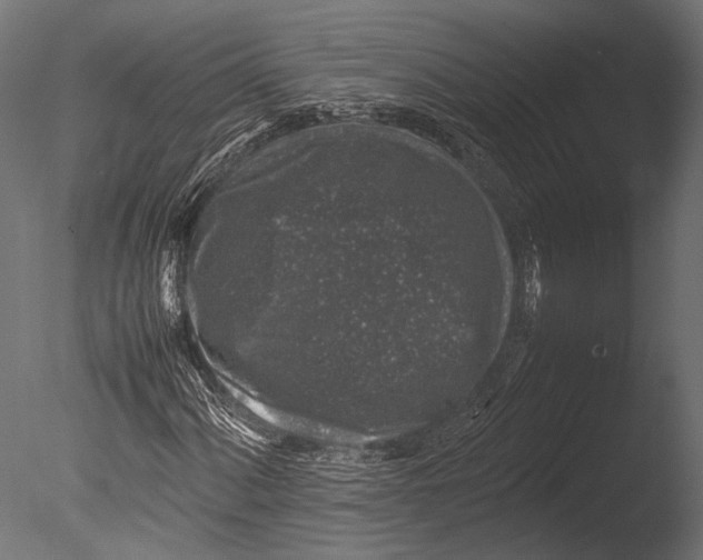 X0000085071060200703261225