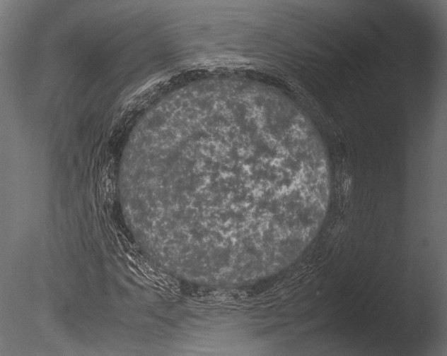 X0000085071063200703261225