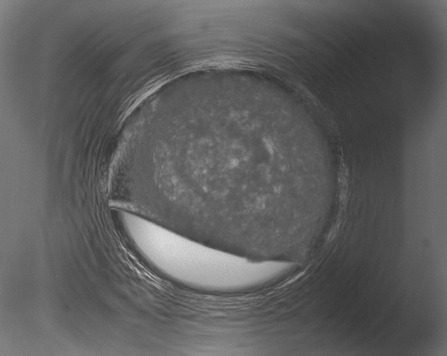 X0000085071065200703261225