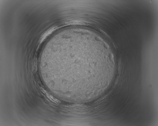 X0000085071067200703261225