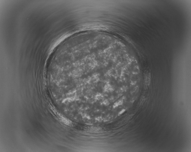 X0000085071071200703261225