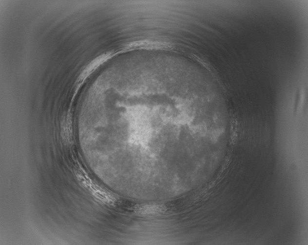 X0000085071074200703261225