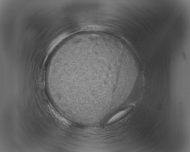 X0000085071075200703261225