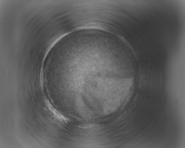 X0000085071076200703261225