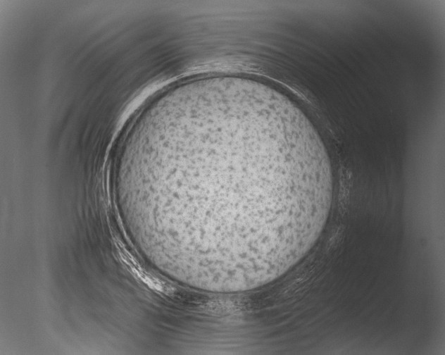 X0000085071078200703261225