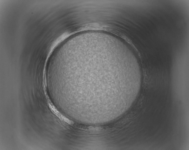 X0000085071080200703261225