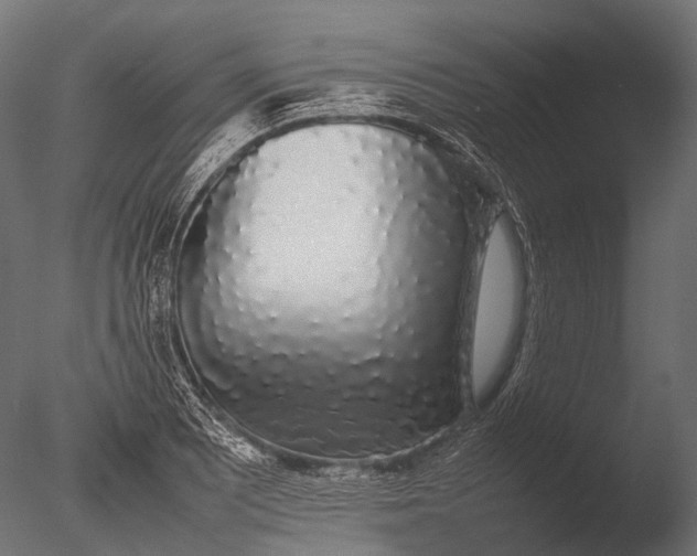 X0000085071081200703261225