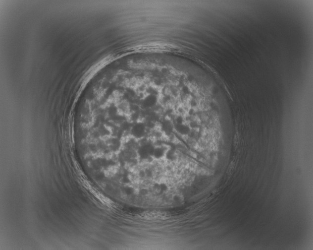 X0000085071083200703261225